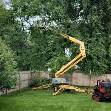 Mulching Services in Coats, NC