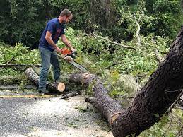 Best Hedge Trimming  in Coats, NC